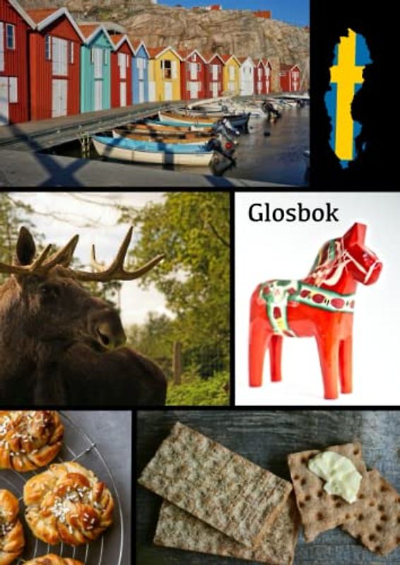 Glosbok: Vokabelheft schwedisch A4 3 Spalten