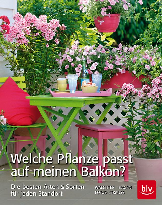 Welche Pflanze passt auf meinen Balkon?