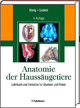 Anatomie der Haussäugetiere