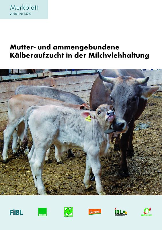 Mutter- und ammengebundene Kälberaufzucht in der Milchviehhaltung