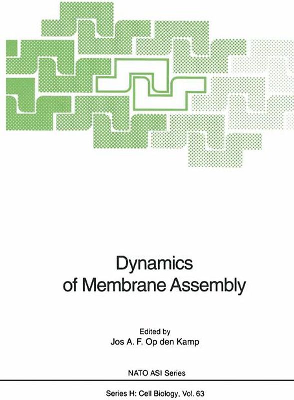 Dynamics of Membrane Assembly