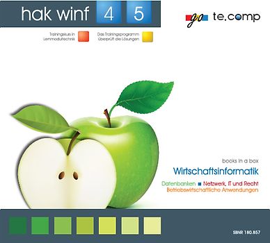 go te.comp - HAK Wirtschaftsinformatik 4/5 (inkl. Trainingssoftware)