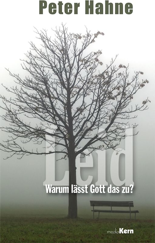 Leid - Warum lässt Gott das zu?