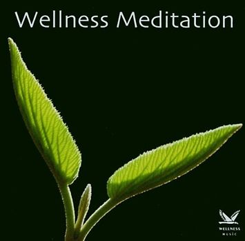 Various - Wellness Meditation