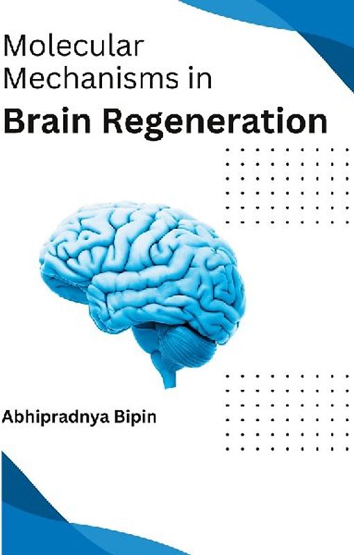 Molecular Mechanisms in Brain Regeneration