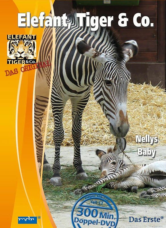 Elefant, Tiger & Co., Teil 12 (Nellys Baby) (2 DVDs) DVD