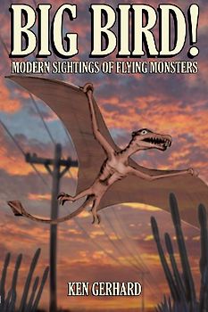 BIG BIRD! - MODERN SIGHTINGS OF FLYING MONSTERS