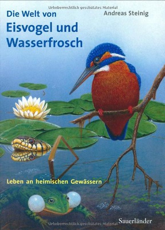 Die Welt von Eisvogel und Wasserfrosch