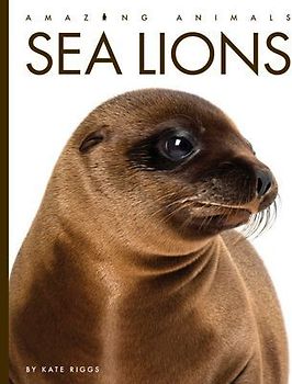 Sea Lions