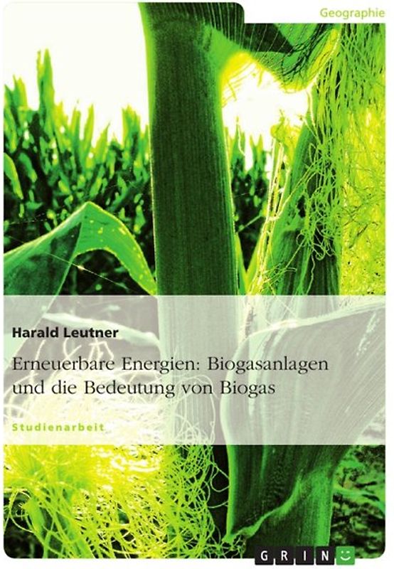Erneuerbare Energien: Biogasanlagen und die Bedeutung von Biogas
