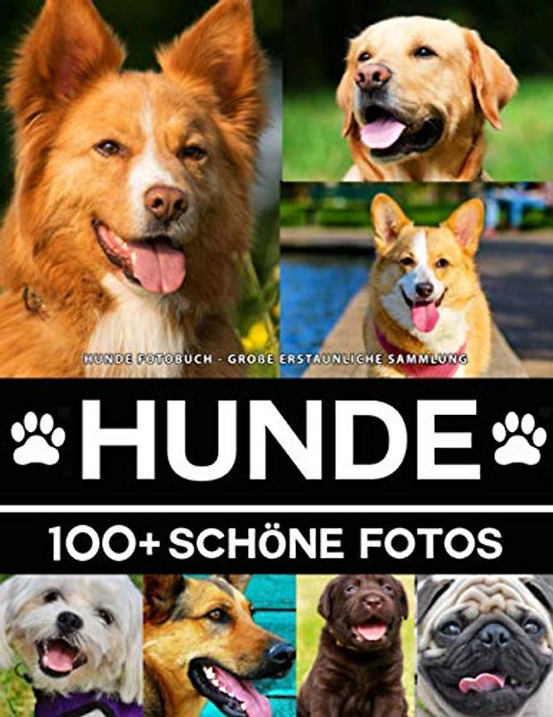 Hunde Fotobuch - Große Erstaunliche Sammlung: 100 Wunderschöne Fotos In Diesem Fantastischen Hund Buch - Tier Fotobuch Für Kinder und Erwachsene