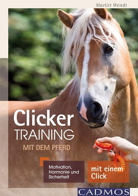 Clickertraining mit dem Pferd