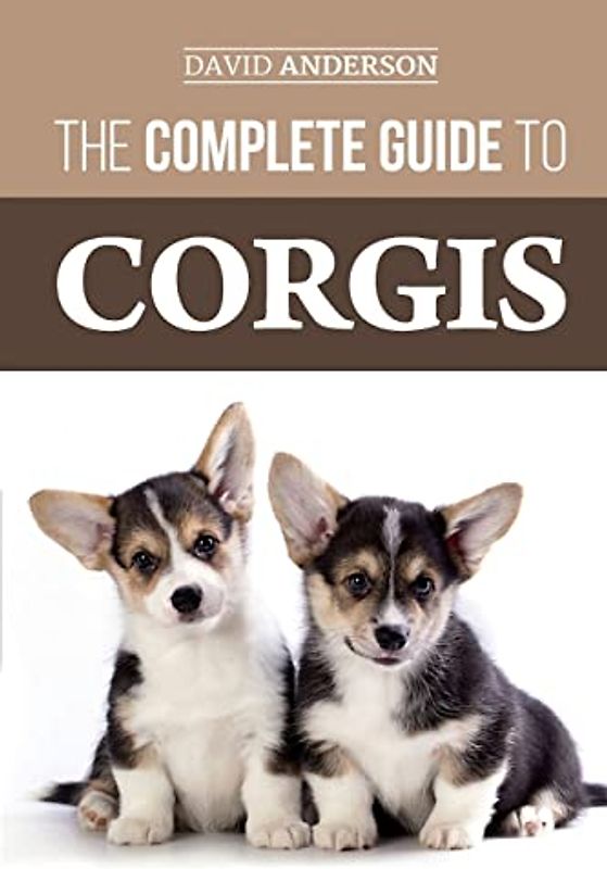 The Complete Guide to Corgis: Everything to know about both the Pembroke Welsh and Cardigan Welsh Corgi dog breeds