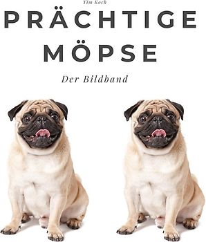 Prächtige Möpse