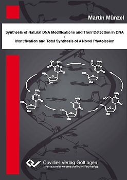 Synthese natürlicher DNA Modifikation und deren Detektion in DNA - Identifikation und Totalsynthese eines neuartigen DNA Photoschadens
