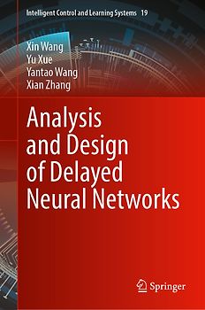 Analysis and Design of Delayed Neural Networks