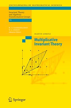 Multiplicative Invariant Theory