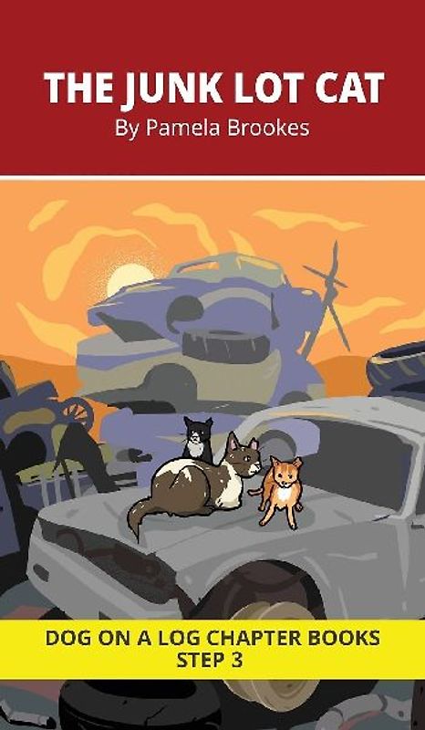 The Junk Lot Cat Chapter Book