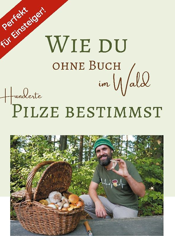 Wie du ohne Buch im Wald Hunderte Pilze bestimmst