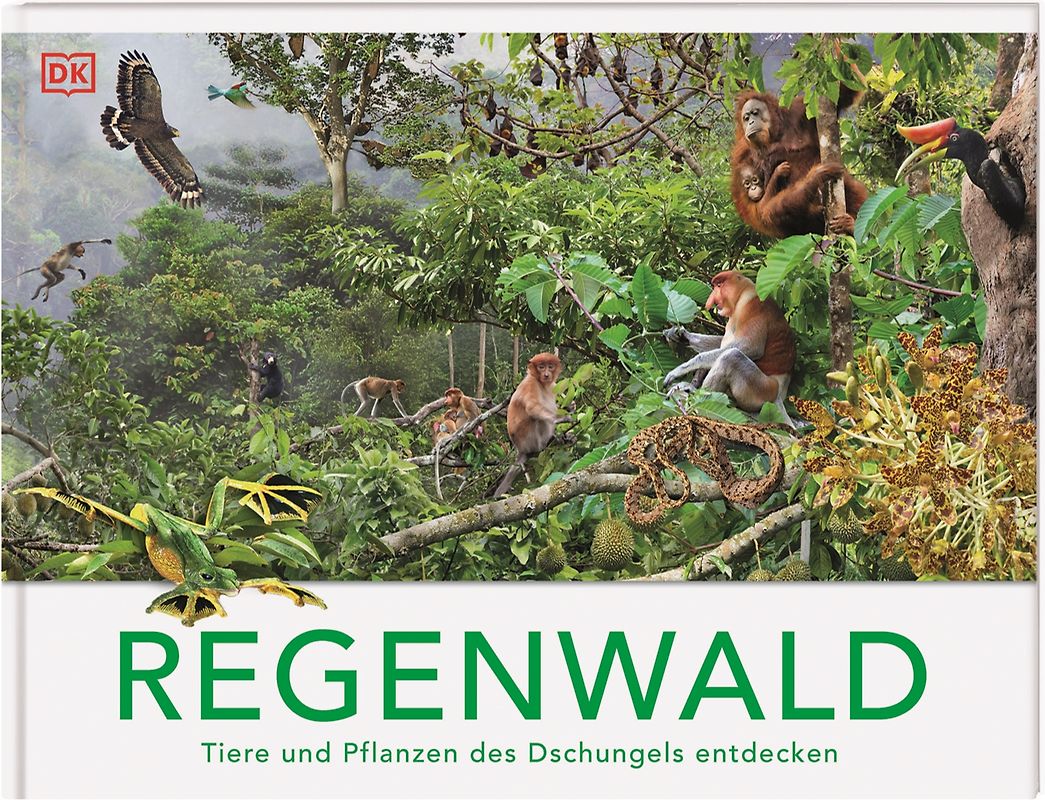 Regenwald