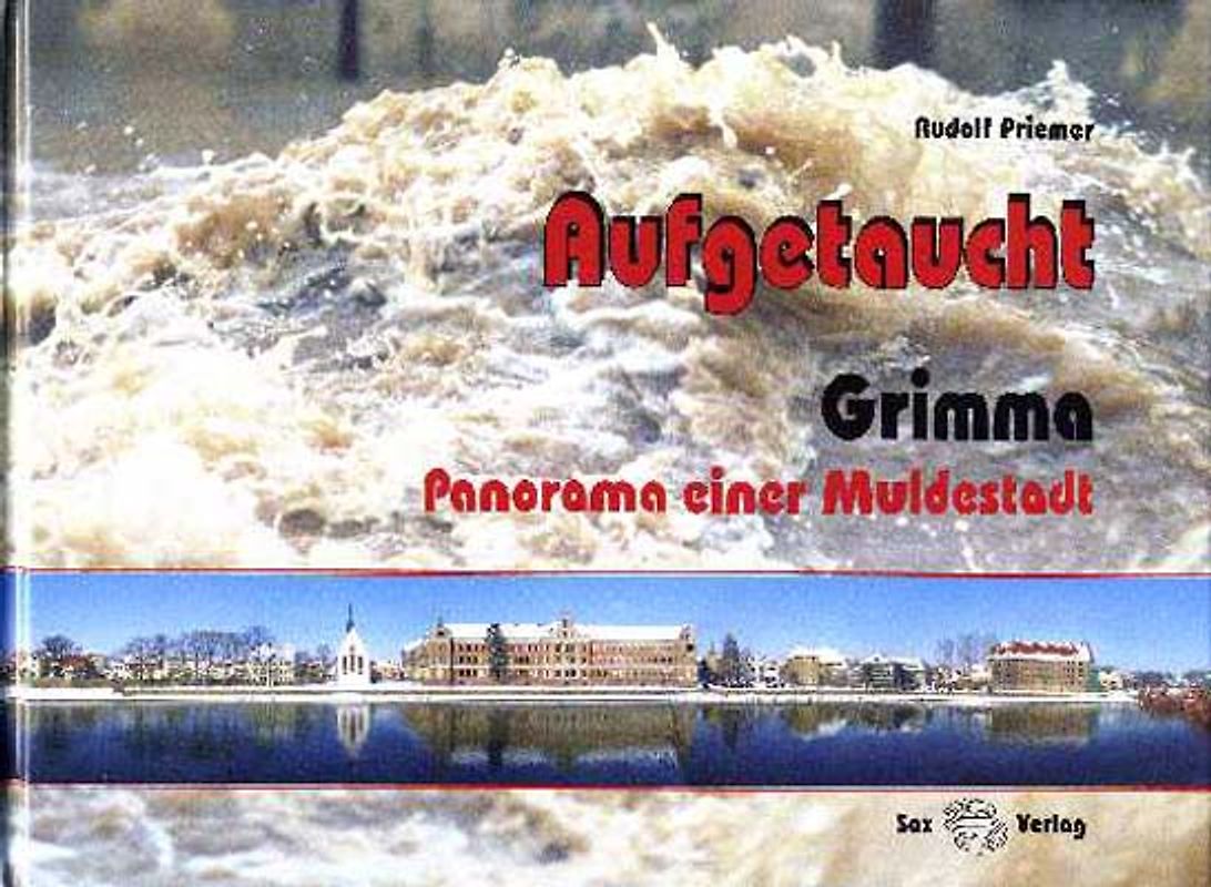 Aufgetaucht. Grimma – Panorama einer Muldestadt
