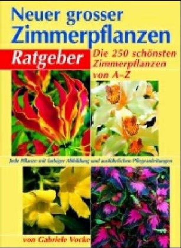 Neuer grosser Zimmerpflanzen-Ratgeber