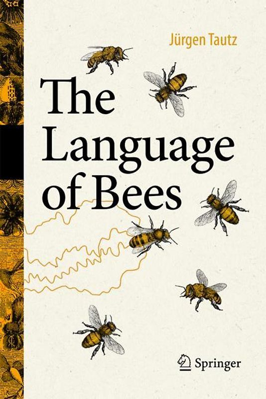 Communication Between Honeybees