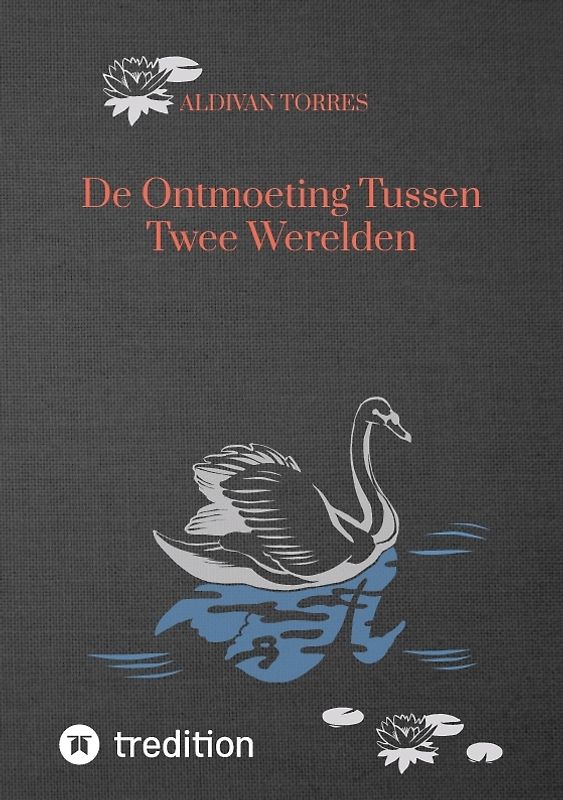 De Ontmoeting Tussen Twee Werelden