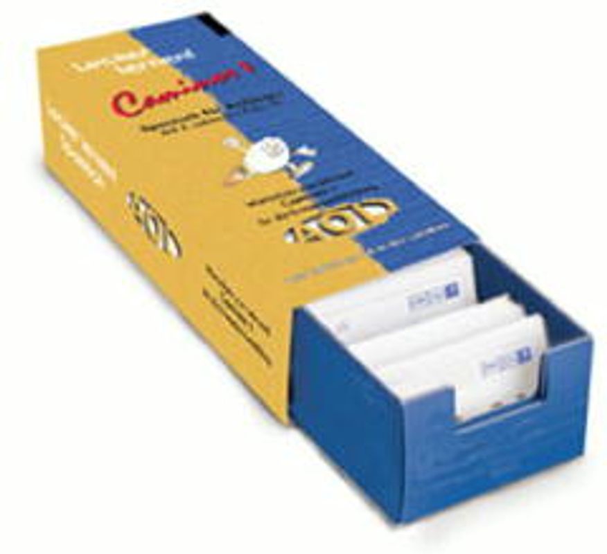 Caminos 1 (Teil 2) Spanisch für Anfänger - Wortschatz. Lernkartei zum Klett-Lehrwerk für die Erwachsenenbildung (Lektionen 9-16)