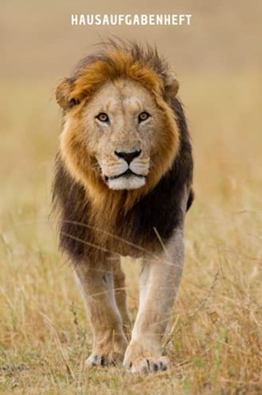 Hausaufgabenheft: Schulplaner schüler , Stundenplan, Notizen , DIN A5 | 110 Seiten , MONTAG to FREITAG , Mit Löwe Cover