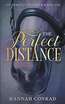 The Perfect Distance (Fantasy Unleashed: The Perfect Distance, Band 1)