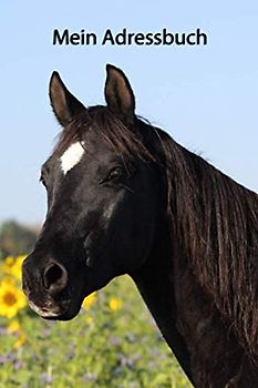 Mein Adressbuch: Vollblutaraber - mit A-Z Register, Softcover, 110Seiten, 6x9" ähnlich Din A5 (Adressbücher - viele weitere Cover mit Tieren, Band 2)