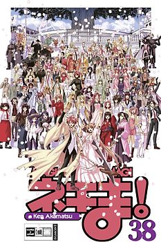 Negima! Magister Negi Magi 38