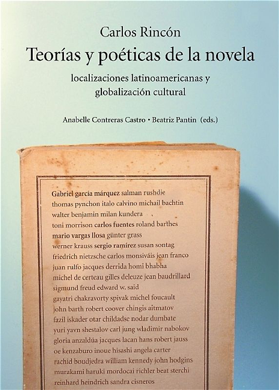 Teorías y poéticas de la novela