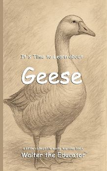 It's Time to Learn about Geese