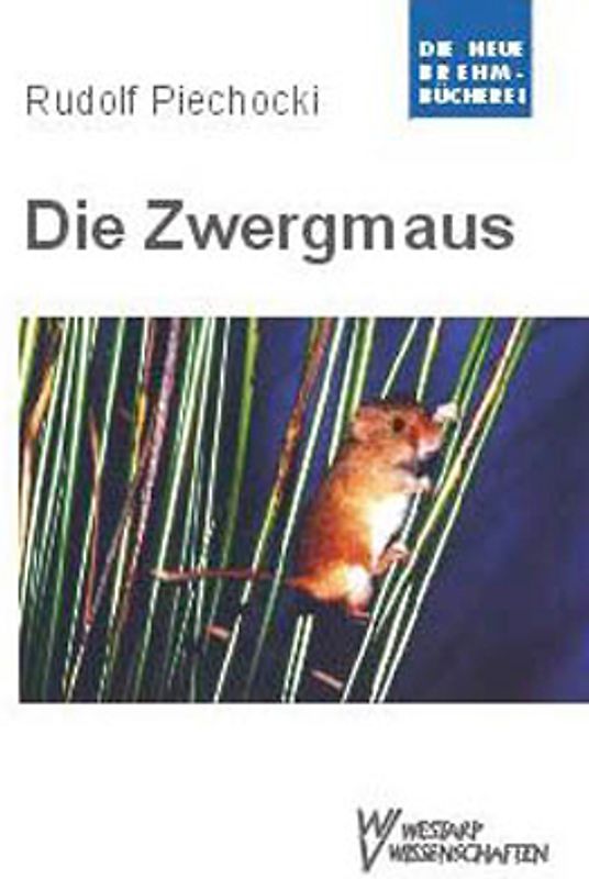 Die Zwergmaus