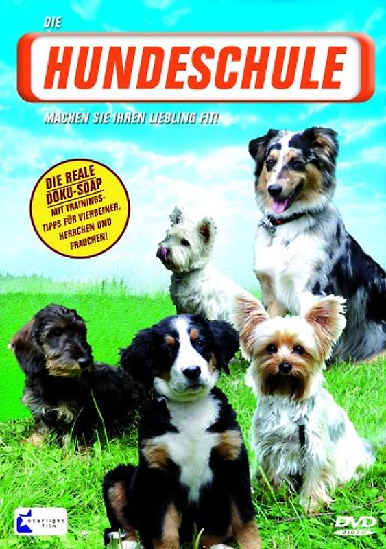 Die Hundeschule DVD
