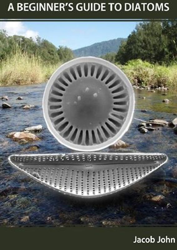 A Beginner's Guide to Diatoms