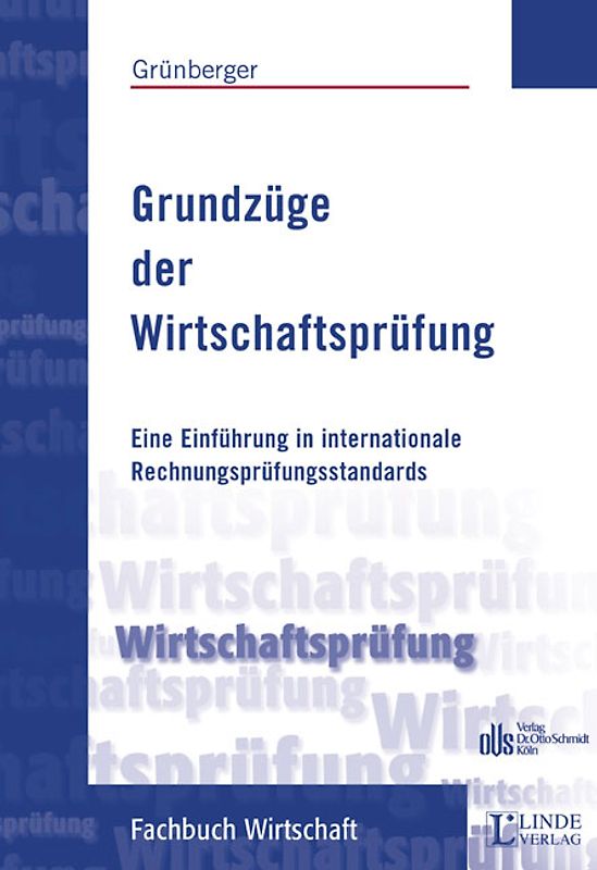 Grundzüge der Wirtschaftsprüfung