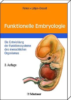 Funktionelle Embryologie