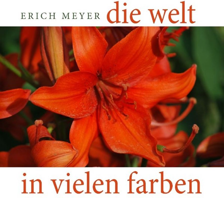 Die Welt in vielen Farben