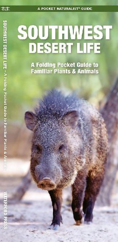 Southwest Desert Life