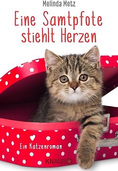 Eine Samtpfote stiehlt Herzen