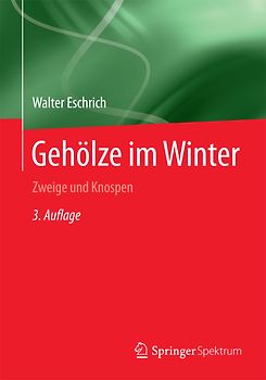 Gehölze im Winter
