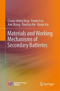 Materials and Working Mechanisms of Secondary Batteries