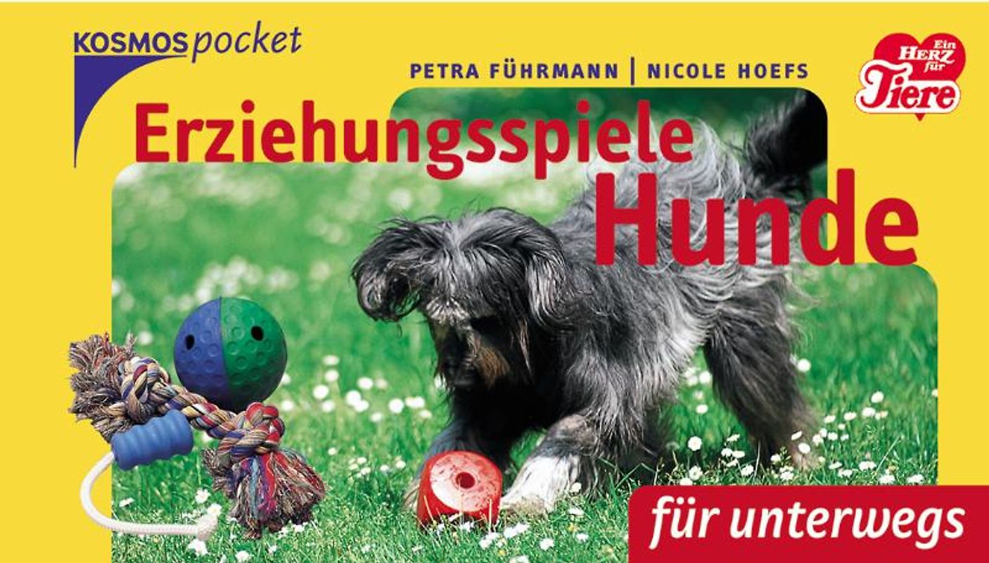 Erziehungsspiele Hunde