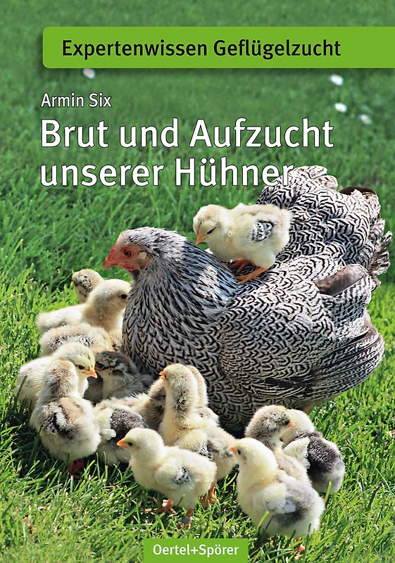 Brut und Aufzucht unserer Hühner