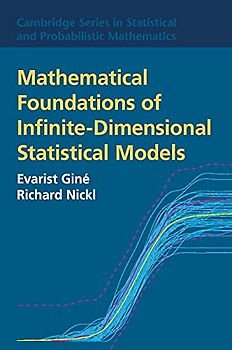 Mathematical Foundations of Infinite-Dimensional Statistical Models (Cambridge Series in Statistical and Probabilistic Mathematics, Band 40)