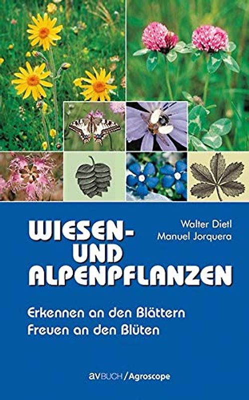 Wiesen- und Alpenpflanzen