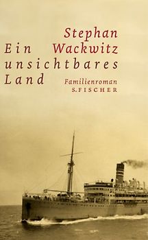 Ein unsichtbares Land. Familienroman